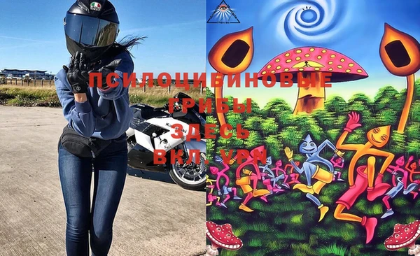эйфоретик Бугульма