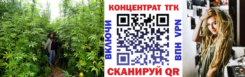 купить  цена  Шимановск  Дистиллят ТГК THC oil 